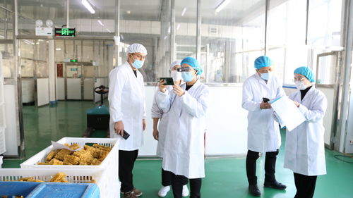 大連自貿片區推出食品生產加工“5G+AR”智慧監管新模式，賦能健康管理與咨詢